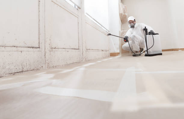 24/7 Emergency Crawl Space Mold Removal experts in Pineville, KY